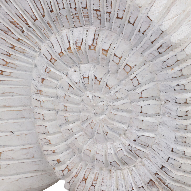 12" Wooden Snail Decor, Wht image number 4