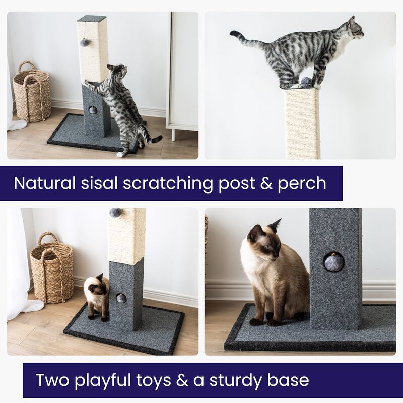 Catry Minimalist Natural Sisal Cat Scratching Post with Peek-a-Boo Ball Toy