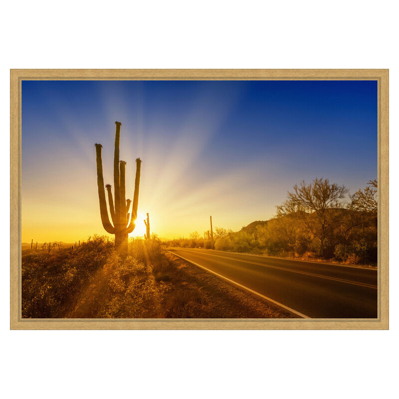 SAGUARO NATIONAL PARK Setting Sun by Melanie Viola Framed Canvas Wall Art