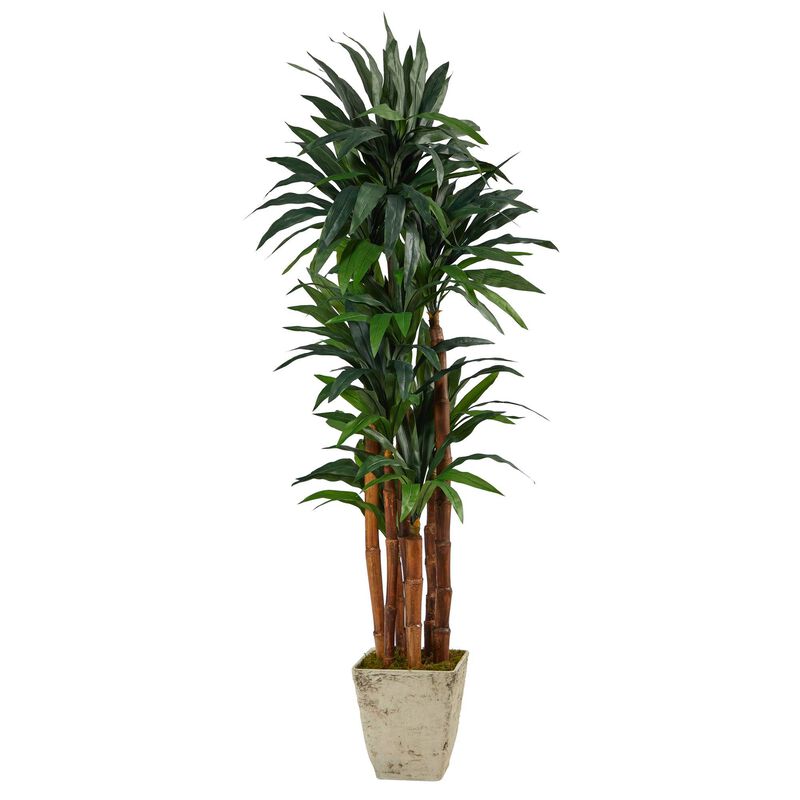 Nearly Natural 69-in Dracaena Artificial Tree in Country White Planter image number 0