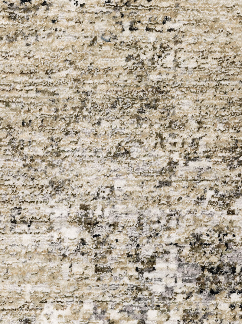 Nebulous 3'3" x 5' Beige/Charcoal Rug