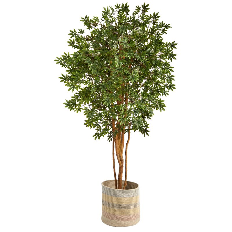 HomPlanti 6 Feet Japanese Maple Artificial Tree in Handmade Natural Cotton Multicolored Woven Planter