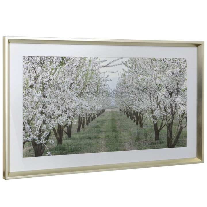 Orchard Path Framed Print