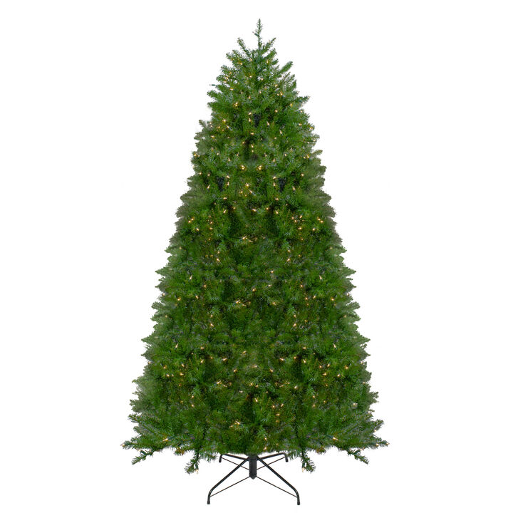 12' Pre-Lit Northern Pine Full Artificial Christmas Tree  Clear Lights