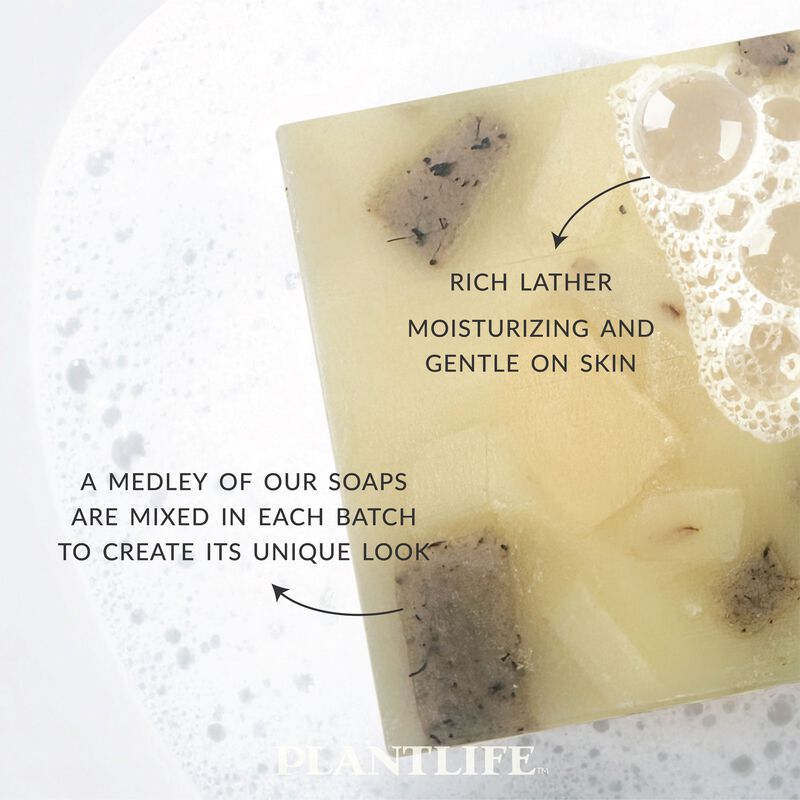 Plantlife Bar Soap - Ambrosia image number 4