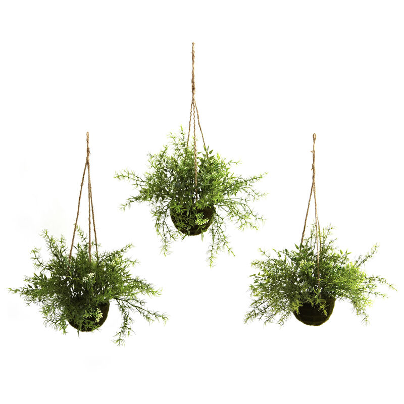 Hivvago Ruscus, Sedum & Springeri Hanging Basket (Set of 3)