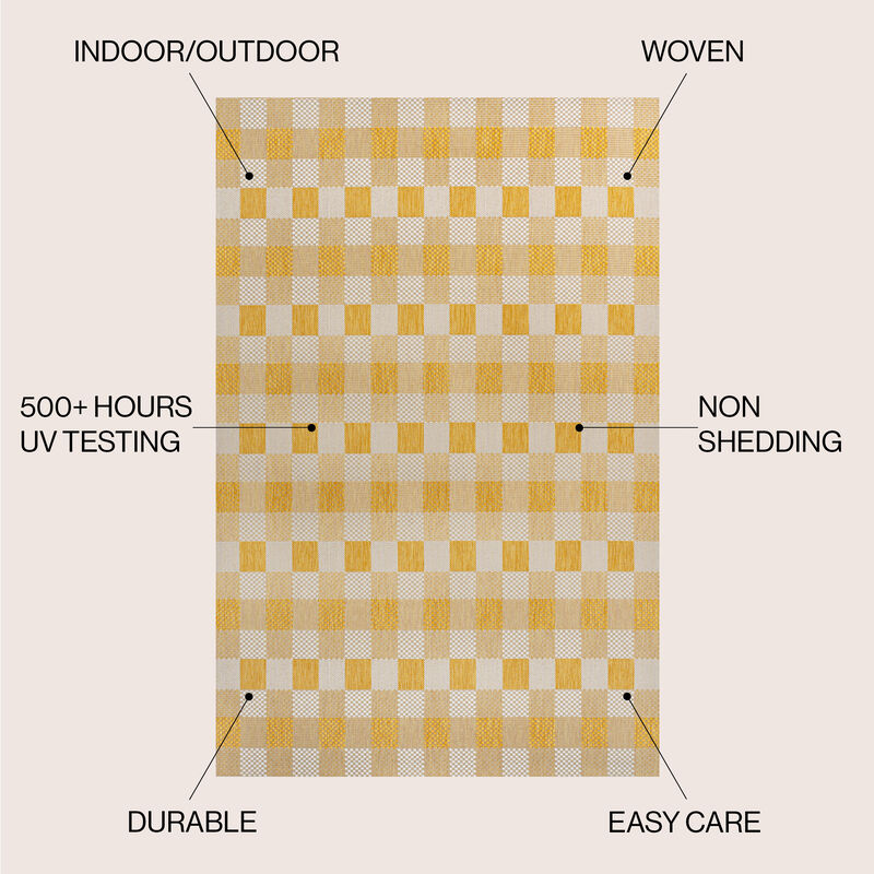 Darcy Traditional Geometric Bold Gingham Indoor/Outdoor Area Rug