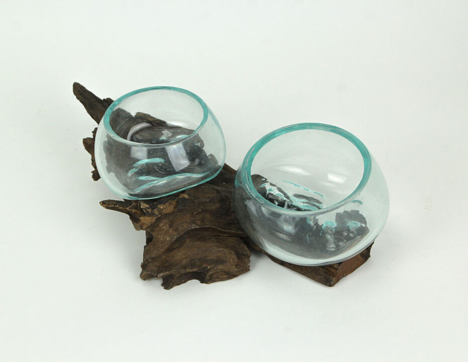 Molten Glass On Coffee Wood Root Double Decorative Bowl Vase Plant Terrarium