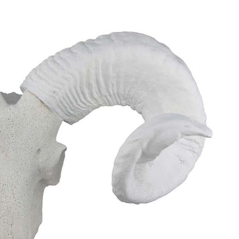 Mitch Bighead Sheep Ram Sculpture w Curved Horns, White Resin 16 Inch
