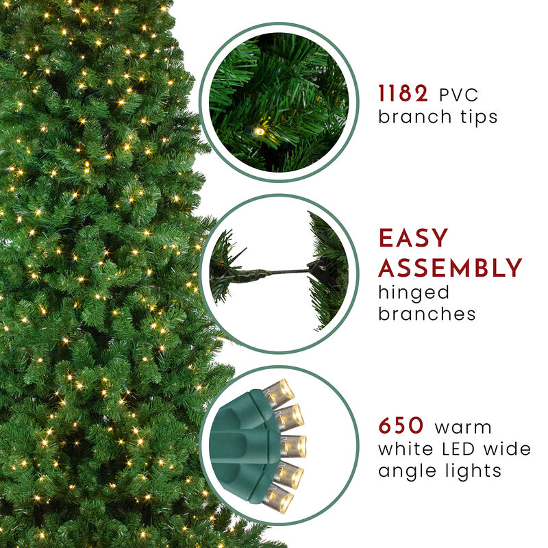 7.5' Pre-Lit Slim Olympia Pine Artificial Christmas Tree - Warm White Lights image number 5