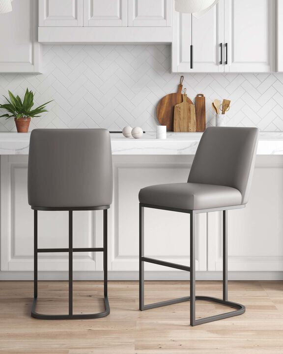 Serena Dark Gray Barstools (Set of 2)