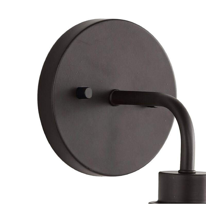 Sandrine Iron/Seeded Glass Cottage Rustic LED Vanity Light