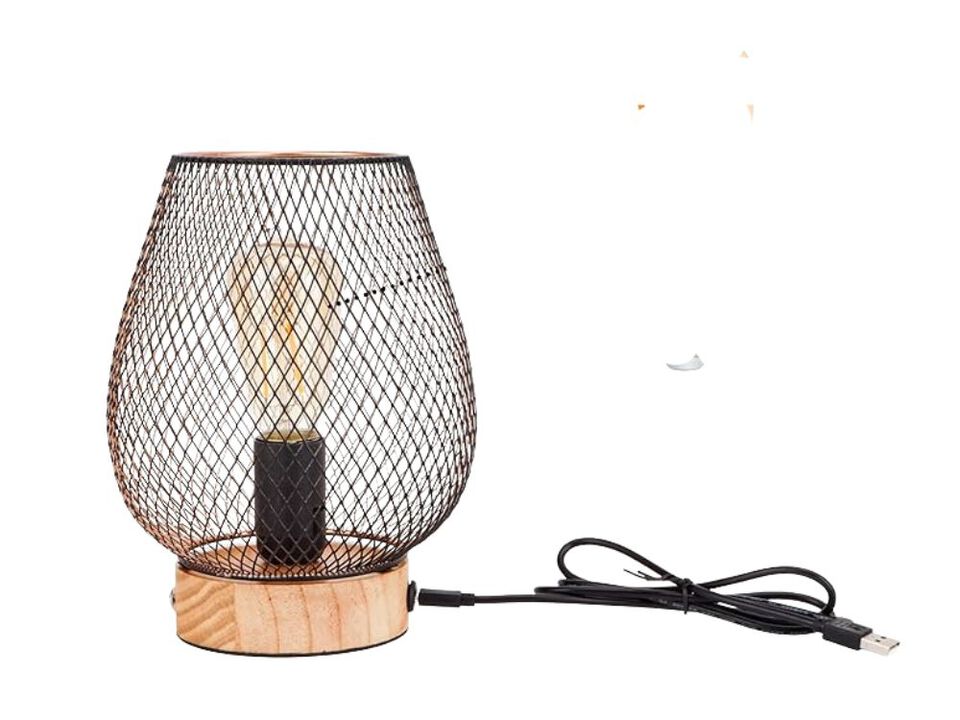 Table Lamp &ndash; Bronze Egg Touch Dimmable Rechargeable LED Light with Wooden Base