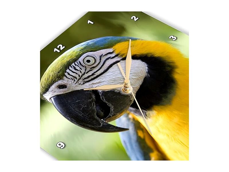 Parrot Wall Clock 10 Inch Home Decor image number 3