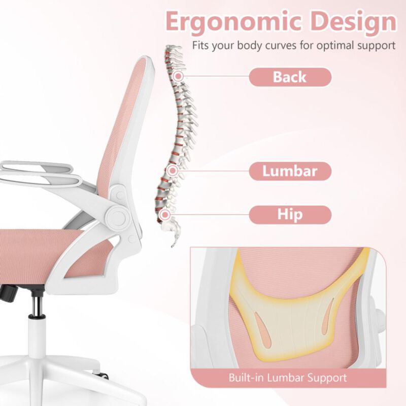 Hivvago Ergonomic Computer Desk Chair with Lumbar Support and Flip-up Arms