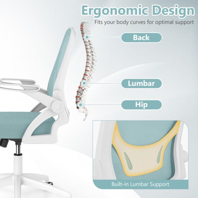 Hivvago Ergonomic Computer Desk Chair with Lumbar Support and Flip-up Arms