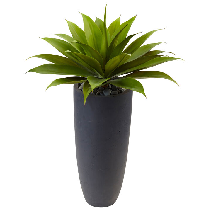 HomPlanti Agave in Gray Cylinder Planter