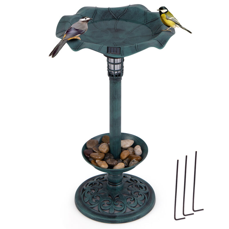 Standing Pedestal Birdbath and Feeder Combo with Lotus Leaf Bowl