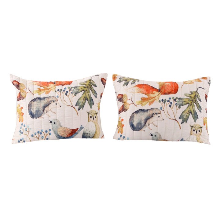 20 x 36 Polyester King Pillow Sham, Nature Inspired Print, Multicolor - Benzara