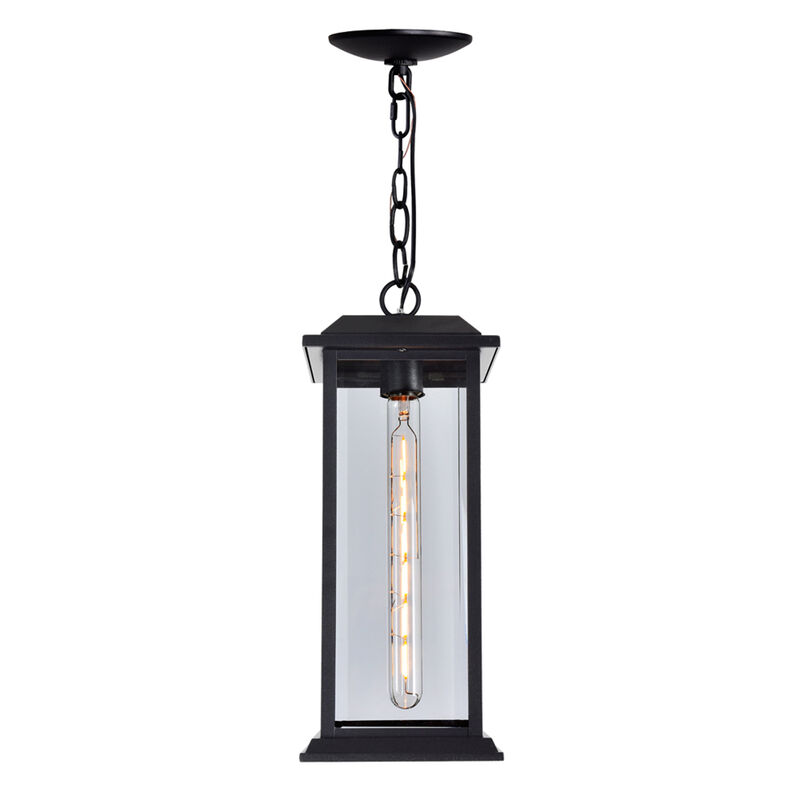 Blackbridge 1 Light Outdoor Black Pendant