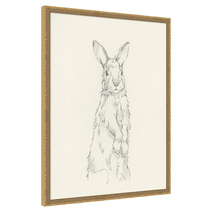 All Ears I by Ethan Harper Framed Canvas Wall Art