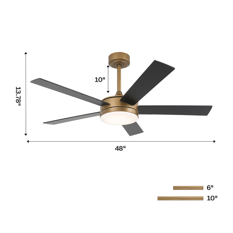 48" Modern Gold Reversible Dimmable Smart 5 Blade Ceiling Fan with APP Control and Remote, Light