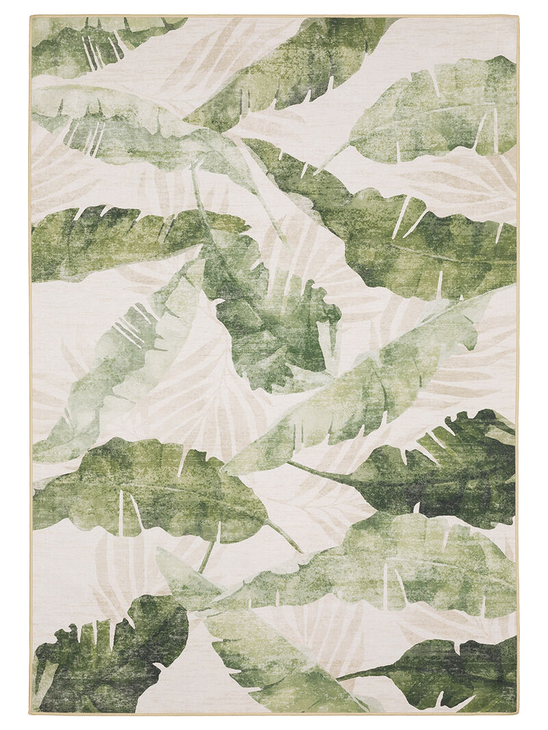 Fiji FIJ02 Collection