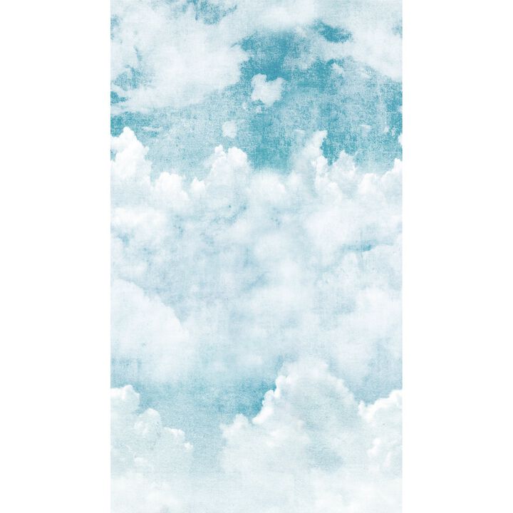 Orom II Photographic Motive Blue Mural A42501