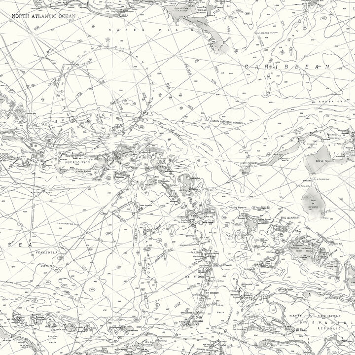 Charts Black Map Wallpaper (Set of 2)