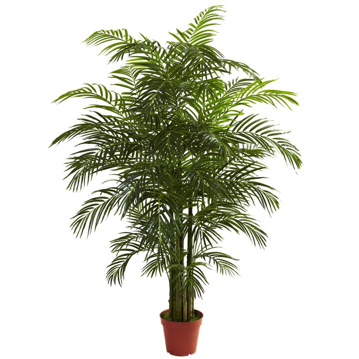HomPlanti 6.5 Feet Areca Palm UV Resistant (Indoor/Outdoor)
