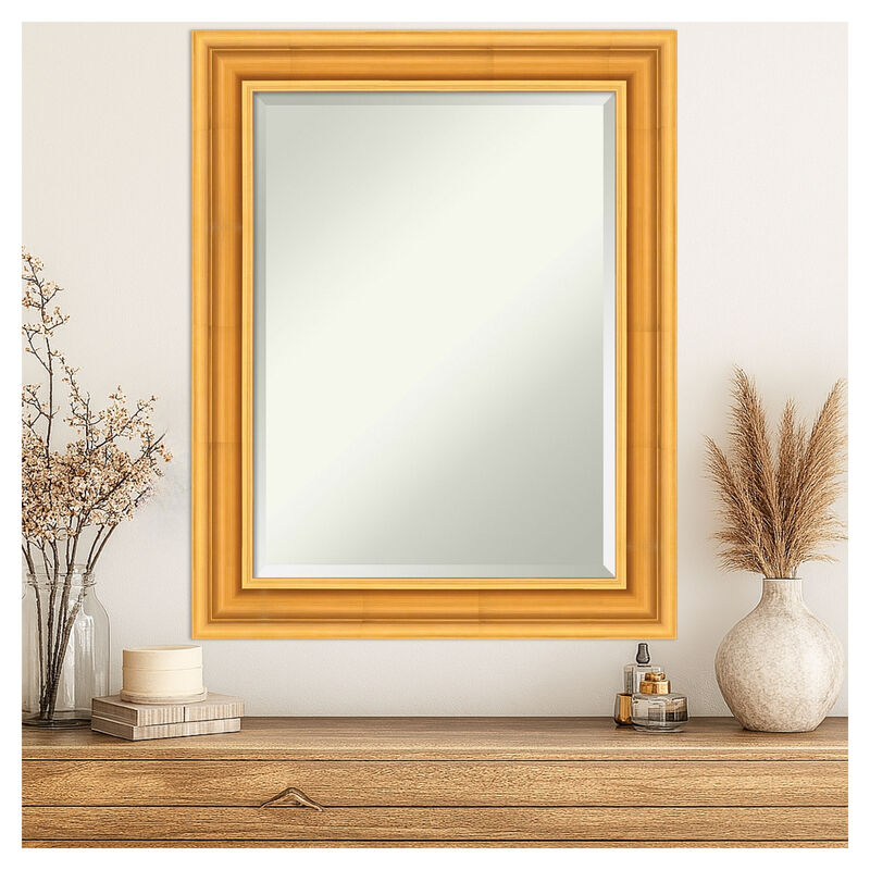 Sierra Beveled Wood Framed Wall Mirror image number 1