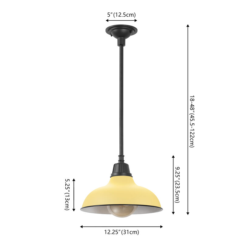 Jasper 12.25" 1-Light Farmhouse Industrial Indoor/Outdoor Iron LED Pendant