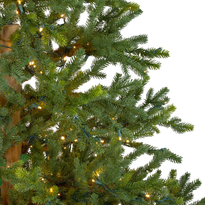 6.5' Pre-Lit Full North Pine Artificial Christmas Tree - Clear LED Lights