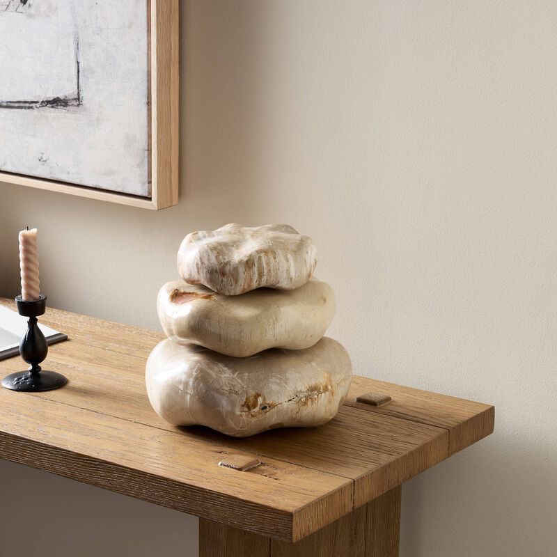 Petrified Wood Organic Sculpture (Set of 3) image number 3
