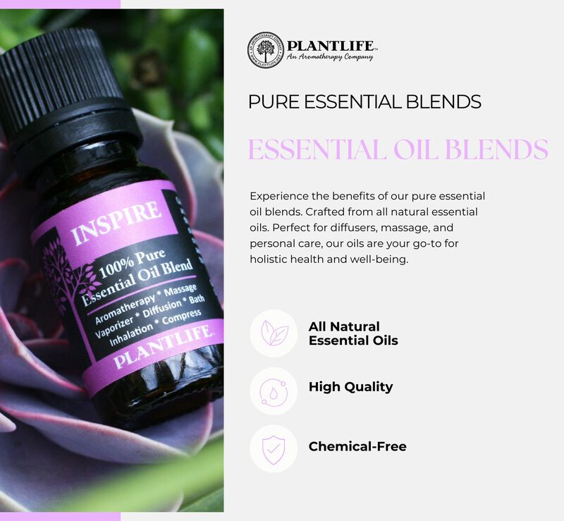 Plantlife Holiday Blends 3 Pack Essential Oils image number 7