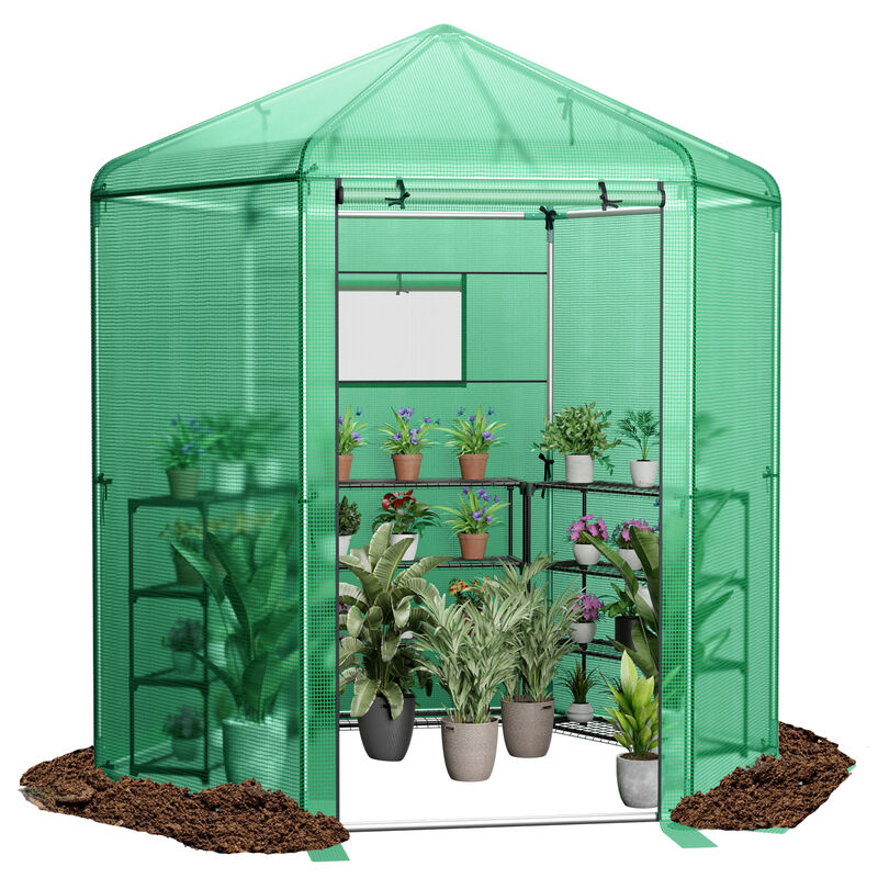 Walk-In Hexagonal Greenhouse with PE Cover and Metal Frame