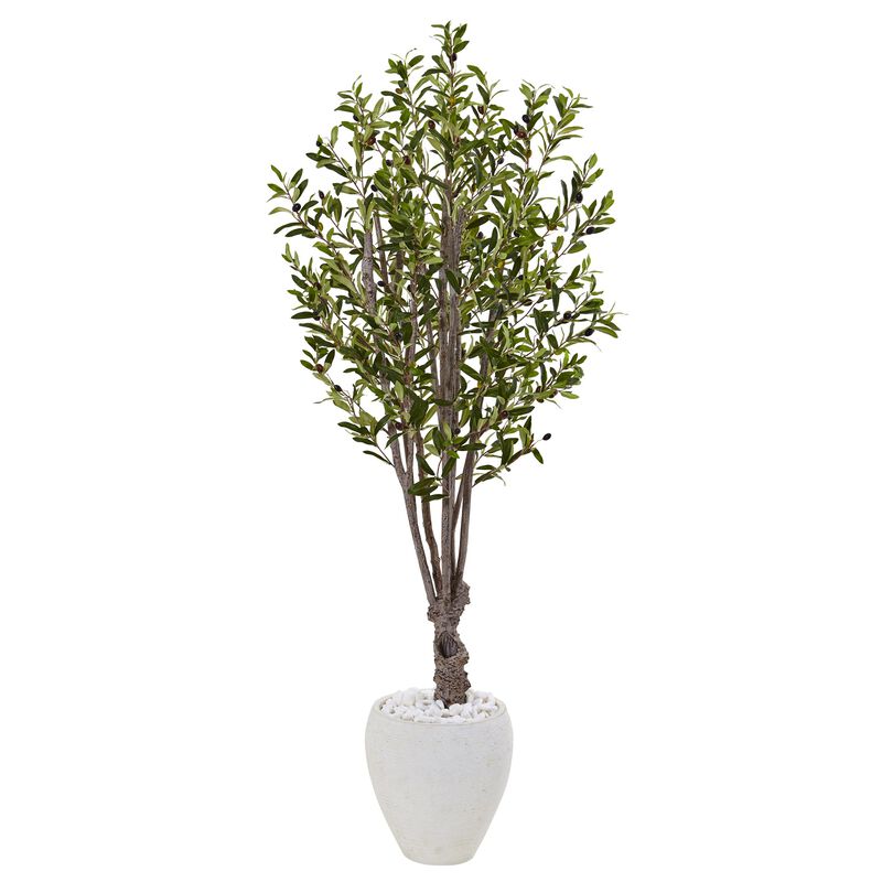 Hivvago 5 Feet Olive Tree in White Oval Planter