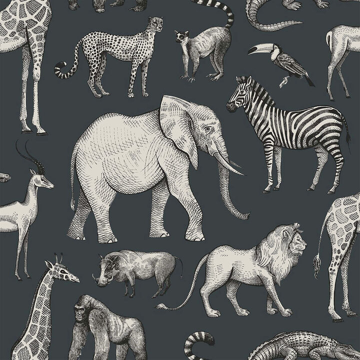 Kenji Navy Safari Wallpaper (Set of 2)