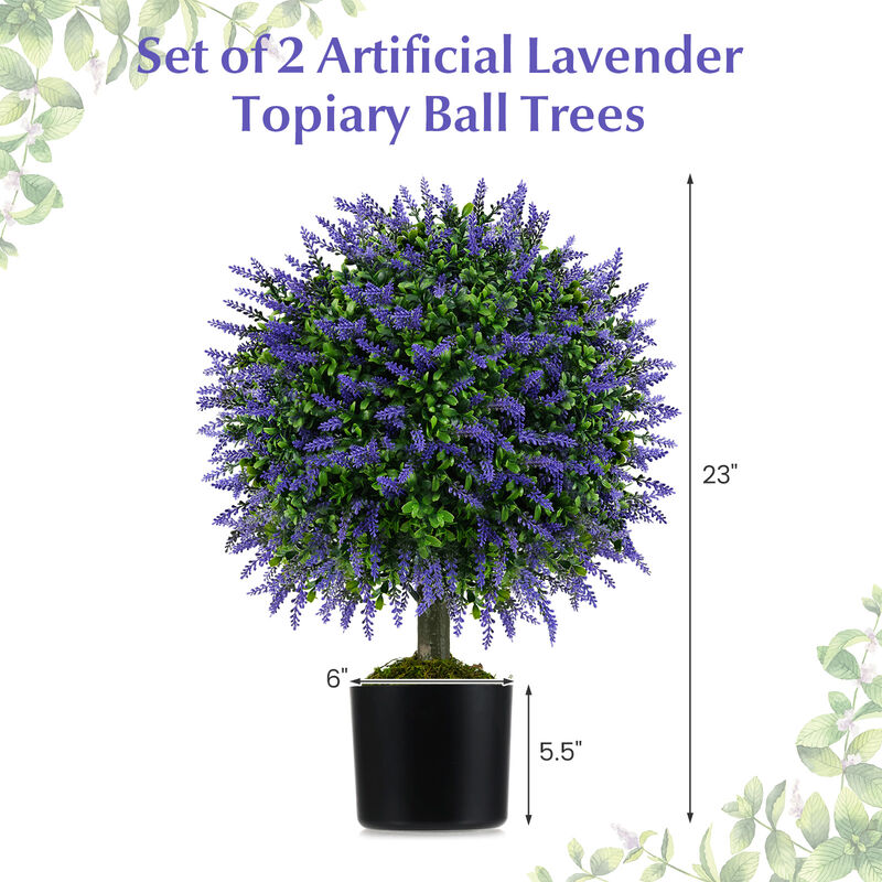 Lavender Topiary Ball Trees, Set of 2, with Cement-Filled Decorative Pots