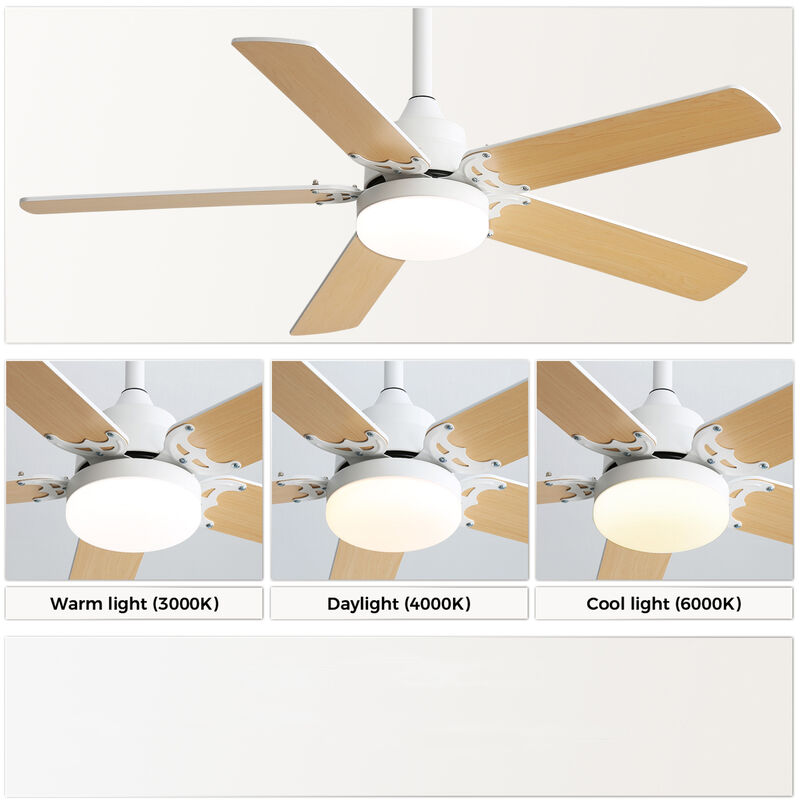 ELEMENT ACE Efficient 42-Inch Ceiling Fan with Adjustable LED Lighting and Quiet DC Motor for Optimal Air Circulation image number 5