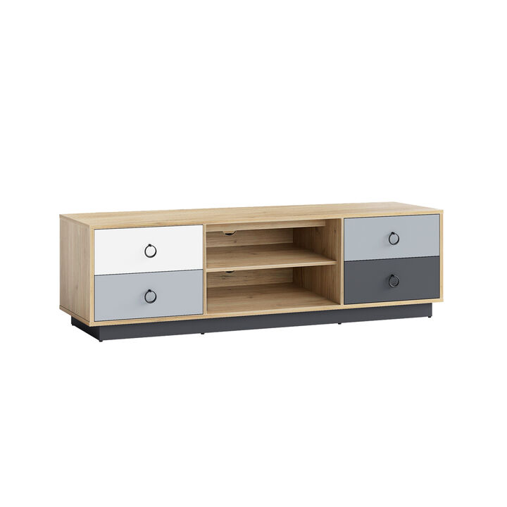 Modern 55 Inch TV Stand with 2 Storage Cabinets for TVs up to 60 Inch