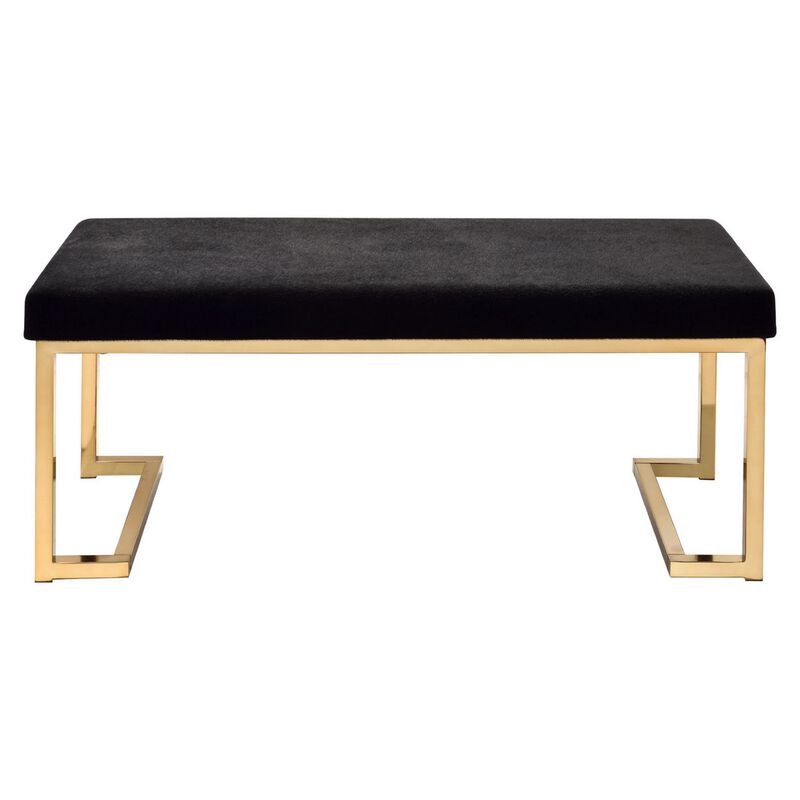 Astonishing Bench, Black Fabric & Gold - Benzara