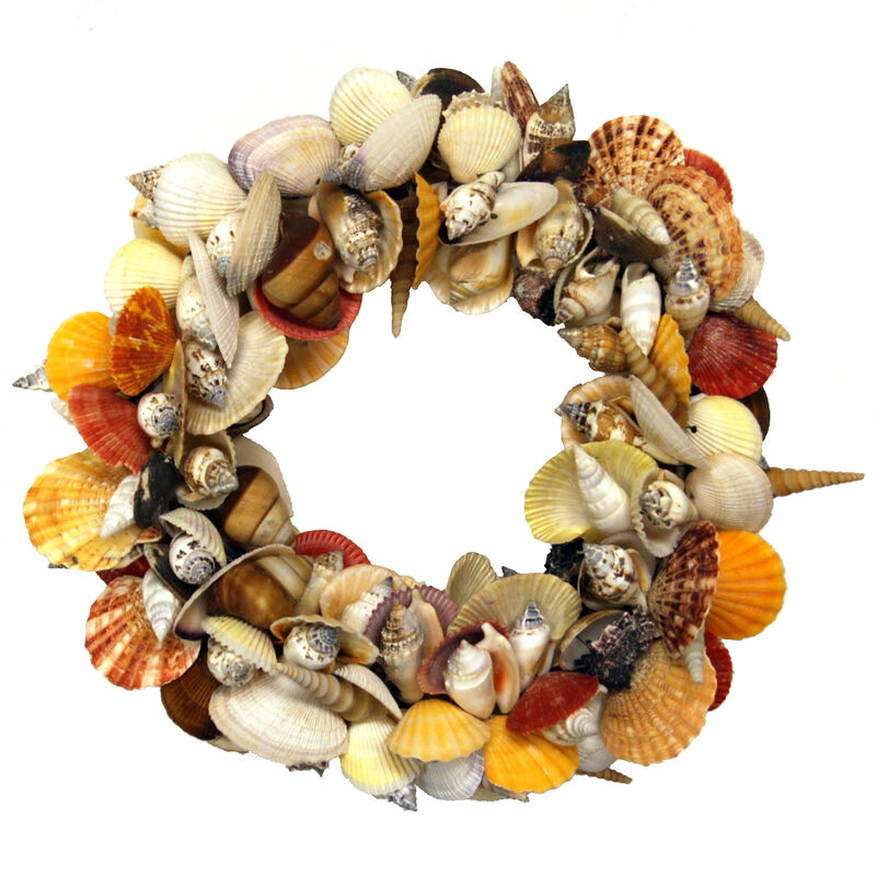 Colorful Natural Mixed Seashell Cluster Accent Wreath 12.5 Inch Diameter image number 0