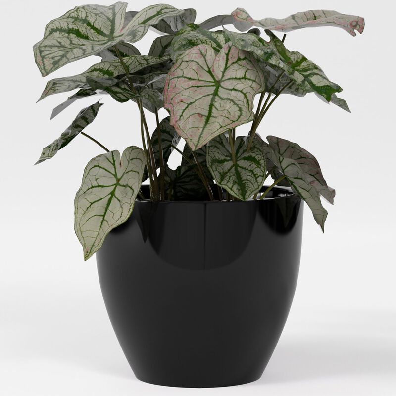 Greenline Fiberglass Lucy Large Indoor/Outdoor Round Planter.