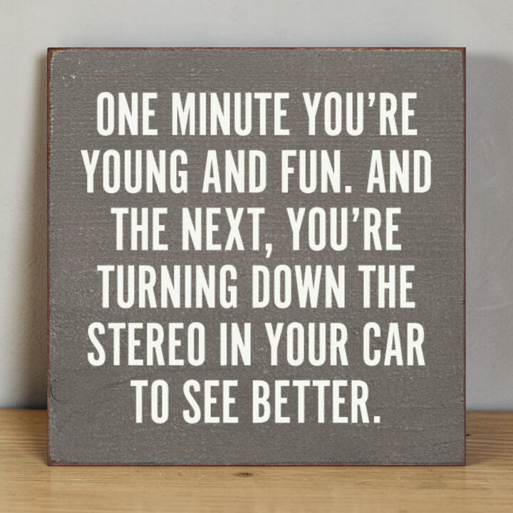 Funny Aging Quote Wood Sign One Minute You're Young and Fun Rustic Home Wall Decor