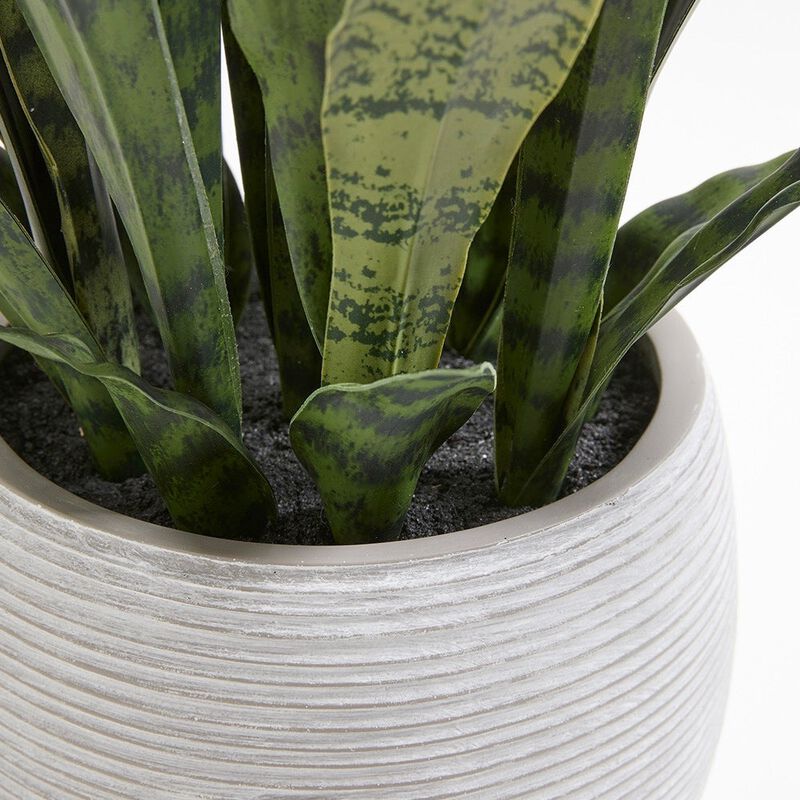 Artificial Snake Plant with Artisan Planter image number 6