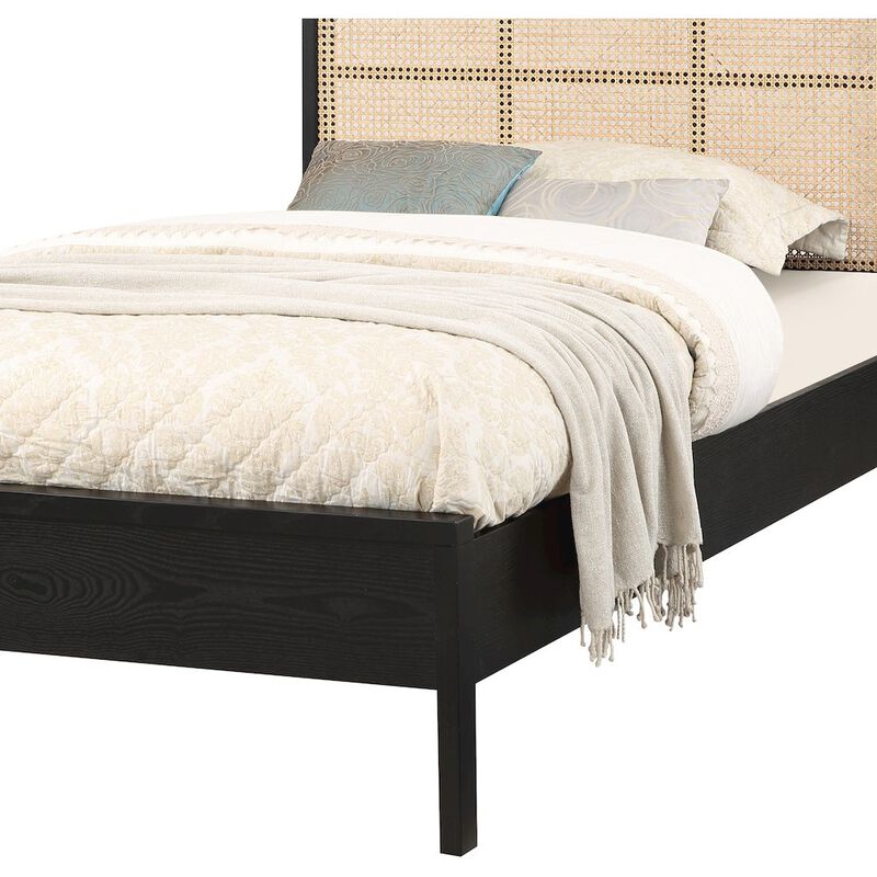 Meridian Furniture Siena Black Ash Wood Twin Bed
