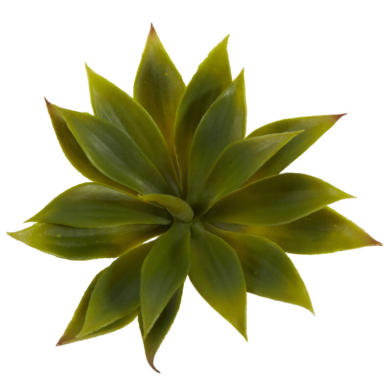 Hivvago Mini Agave Succulent Plant (Set of 12)