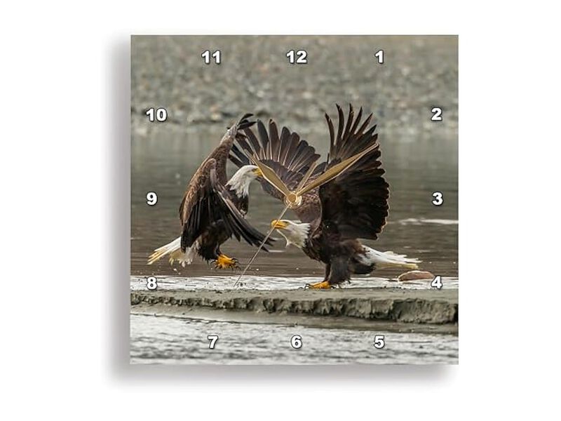 Bald Eagle Bird Of Prey Alaska Chilkat Wall Clock 15 Inch Silent Home Decor image number 1