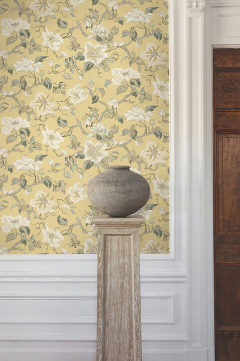 Marguerite Vine Yellow Wallpaper